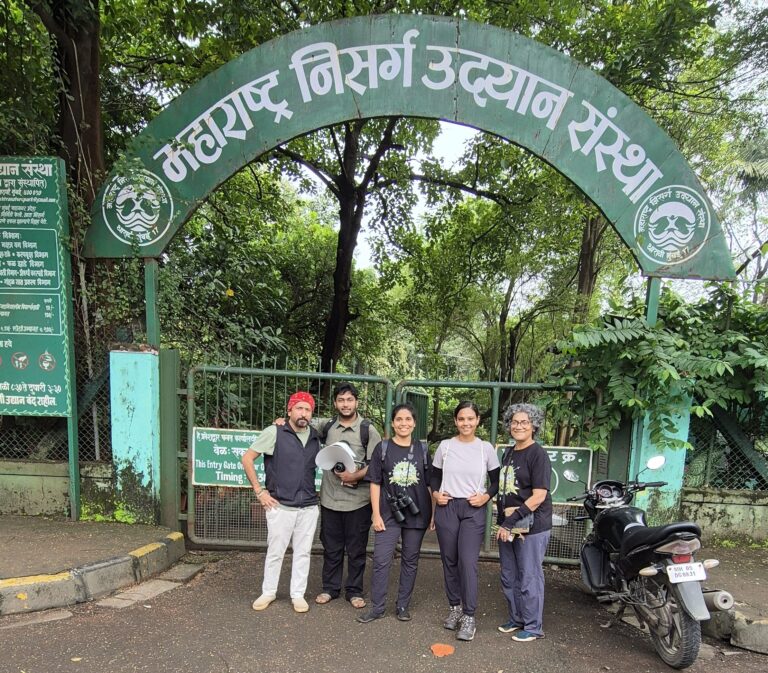 Big Butterfly Month at Maharashtra Nature Park | 13th Sept 2025