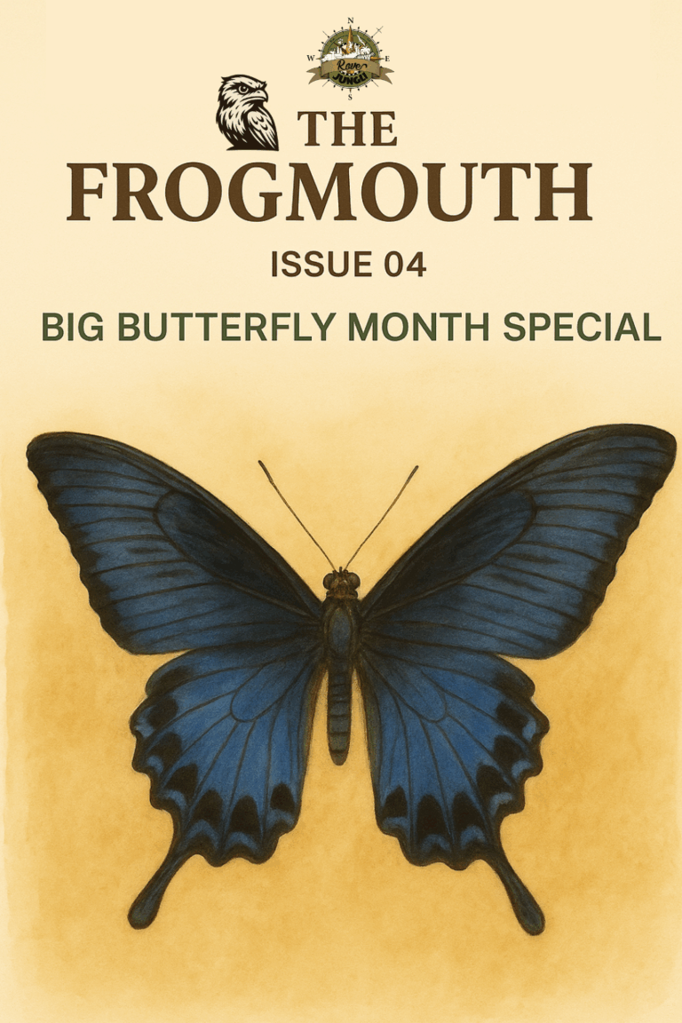 The Frogmouth – Big Butterfly Month Special (Issue 04)